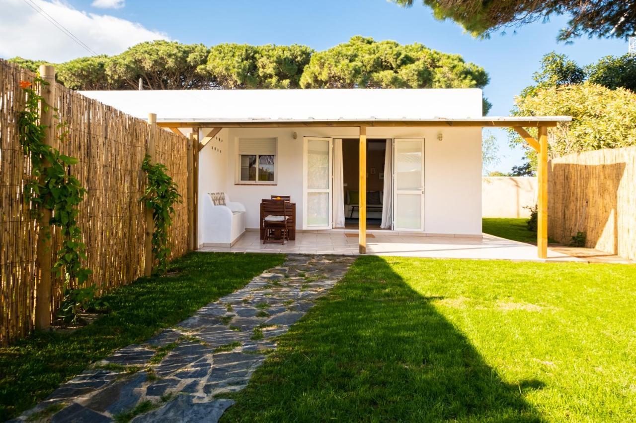 فيلا Casa Flor زاهورا المظهر الخارجي الصورة